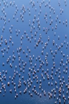 BEW1BF4D91A_EDITORIAL_HiRes