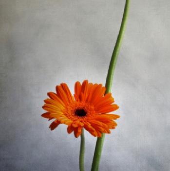 BEW1BF67DE7_EDITORIAL_HiRes