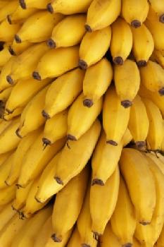 BEW1C05CA10_EDITORIAL_HiRes