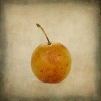 BEW1C0723C8_EDITORIAL_HiRes