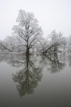 BEW1C1346B8_EDITORIAL_HiRes