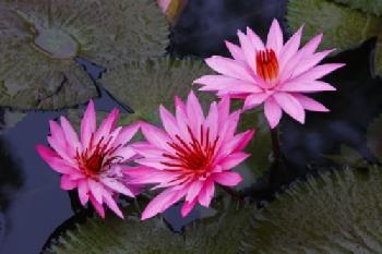 BEW1C208010_EDITORIAL_HiRes