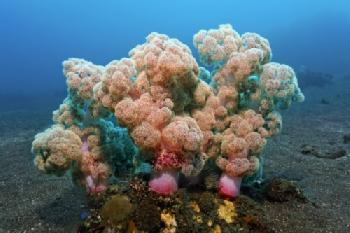 BEW1C671B4A_EDITORIAL_HiRes