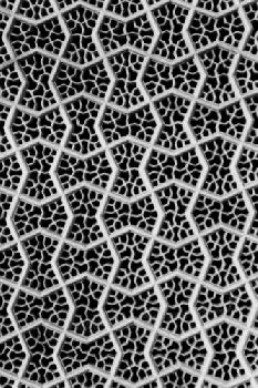 BEW1C7CD857_EDITORIAL_HiRes