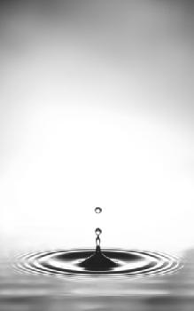 BEW1C810123_EDITORIAL_HiRes