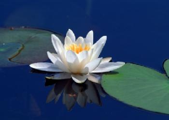 BEW1C811534_EDITORIAL_HiRes