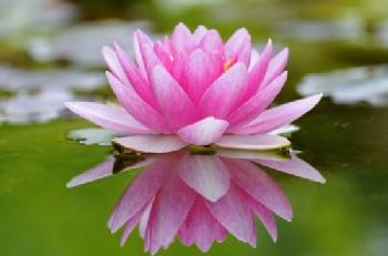 BEW1C871C60_EDITORIAL_HiRes