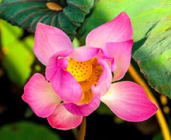 BEW1C942B35_EDITORIAL_HiRes