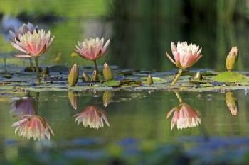 BEW1CF4E634_EDITORIAL_HiRes