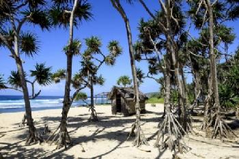 BEW1CF808C2_EDITORIAL_HiRes