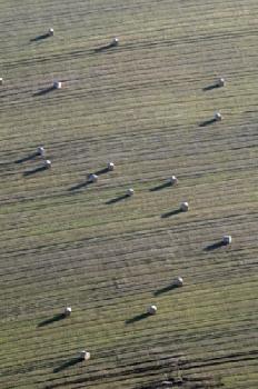 BF4F54_EDITORIAL_HiRes