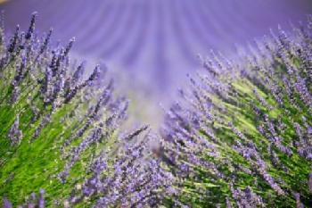 BGTK11_EDITORIAL_HiRes