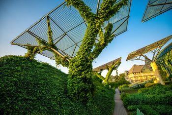 Biblioteka Uniwersytecka - ogród