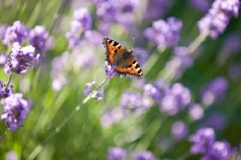 BT74XR_EDITORIAL_HiRes