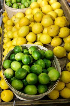 Cytryny i limonki w pudełkach