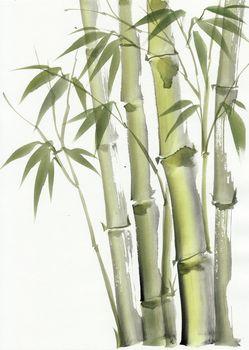 Drzewo bambusowe