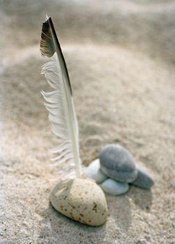Kamienie i pióro na piasku