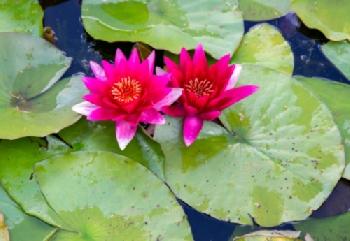 E52P9N_EDITORIAL_HiRes