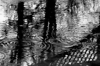 E7FTBH_EDITORIAL_HiRes