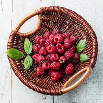 E8J0GH_EDITORIAL_HiRes