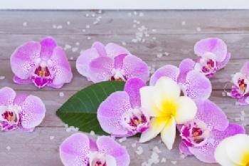 E8N08P_EDITORIAL_HiRes