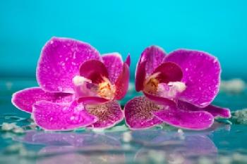 EG69YH_EDITORIAL_HiRes