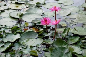 FG1BMR_EDITORIAL_HiRes