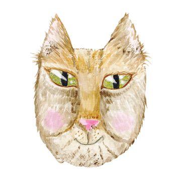 Głowa kota na białym tle