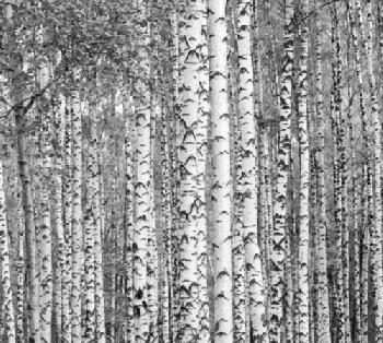 KJG1PK_EDITORIAL_HiRes