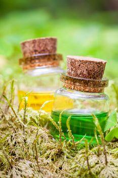 Kolorowe olejki w trawie