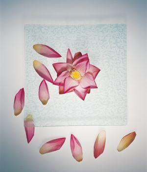 Kompozycja z płatków kwiatów w stylu vintage