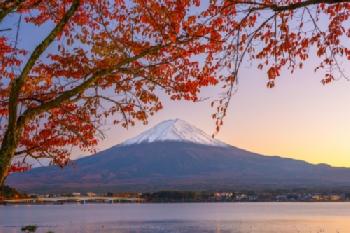 Góra Fuji w jesiennej scenerii