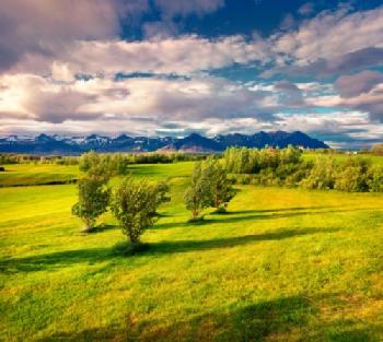 Górska łąka na Islandii