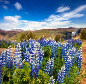 Górski krajobraz Islandii