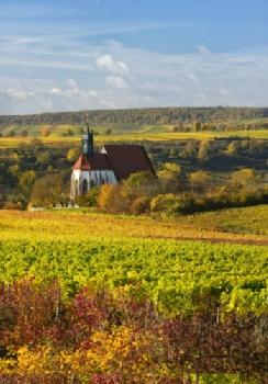 Jesienny krajobraz z winnicami i kościołem