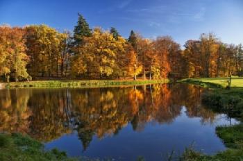 Jesienny park w Gołuchowie