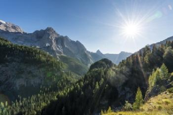 Tyrolskie góry i lasy