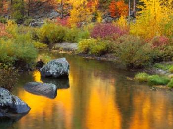Wielobarwny jesienny las nad rzeką