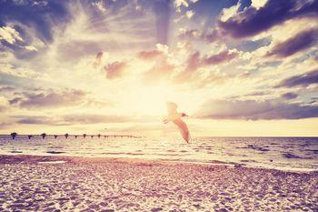 Zachód słońca nad morzem. Vintage