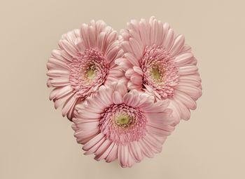 Kwiaty w odcieniach pudrowego różu