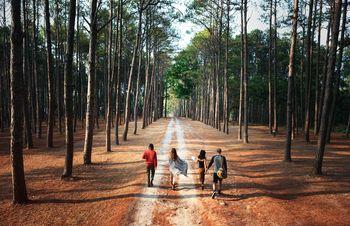 Grupa przyjaciół spacerująca po lesie