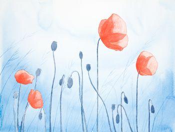 Maki na niebieskim tle