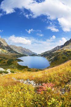 Malownicza dolina pośród Tatr. Polska