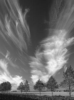 Piękne chmury nad łąką