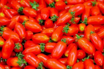 Podłużne czerwone pomidorki