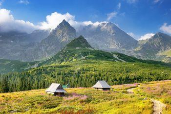 Dolina Gąsiennicowa w Tatrach