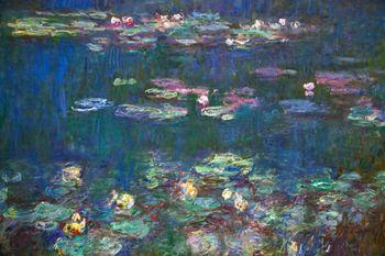 Nenufary, detal 2, Monet