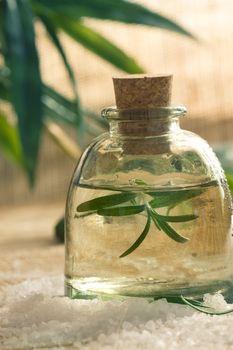 Roślina w słoiku z wodą