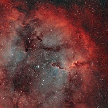 Rozgwieżdżona mgławica