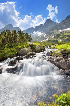 Rwący potok w Dolinie Gąsiennicowej